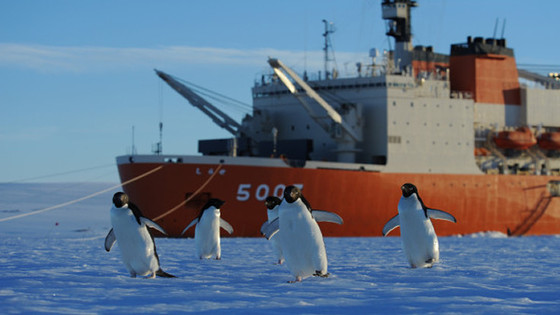 安心!隊友会員の病気・ケガの補償をします(^_^)